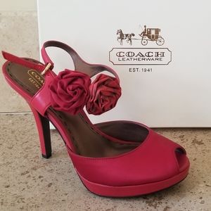 Coach Addysen Heels